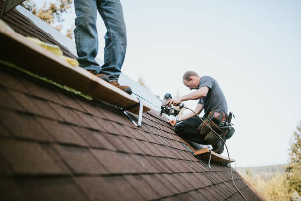 Best Best Roofing Contractors  in Quincy, MI
