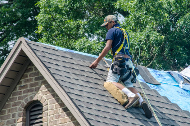 Best Shingle Roofing Installation  in Quincy, MI